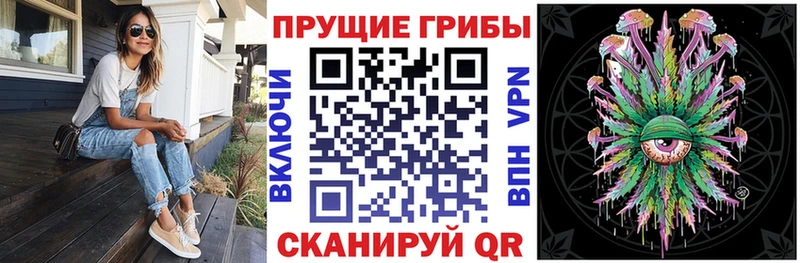кракен ТОР  Саки  Галлюциногенные грибы GOLDEN TEACHER 
